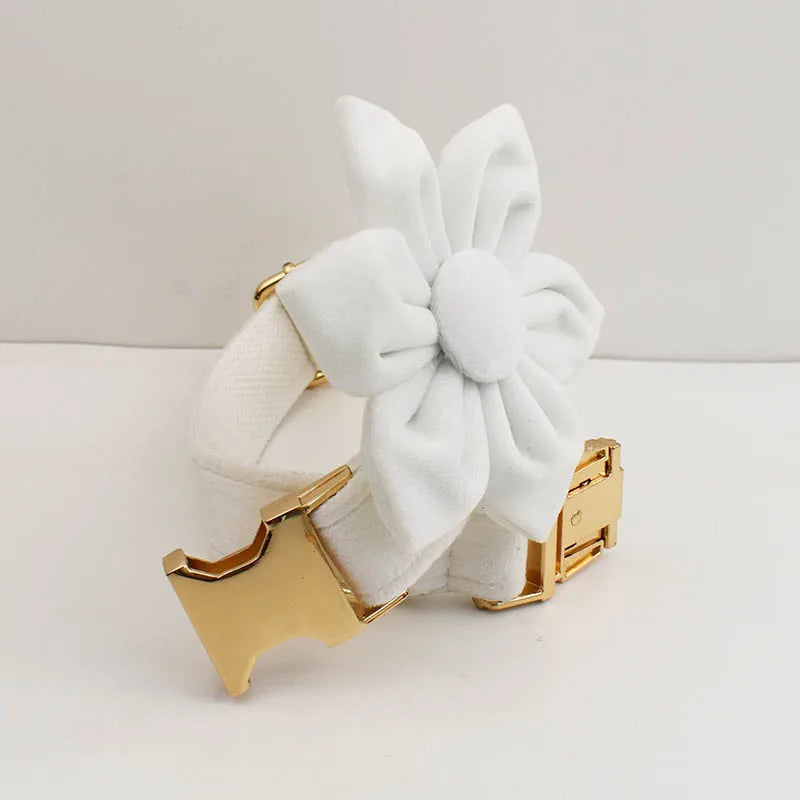 Snow White Velvet Collar & Leash