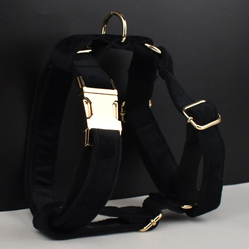 Black Velvet Harness