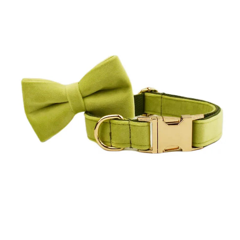Avocado Velvet Collar & Leash