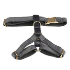 Dark Grey Velvet Harness