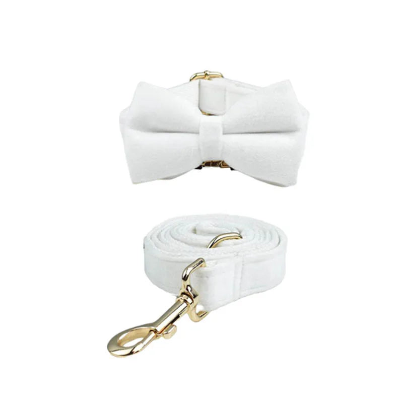 Snow White Velvet Collar & Leash