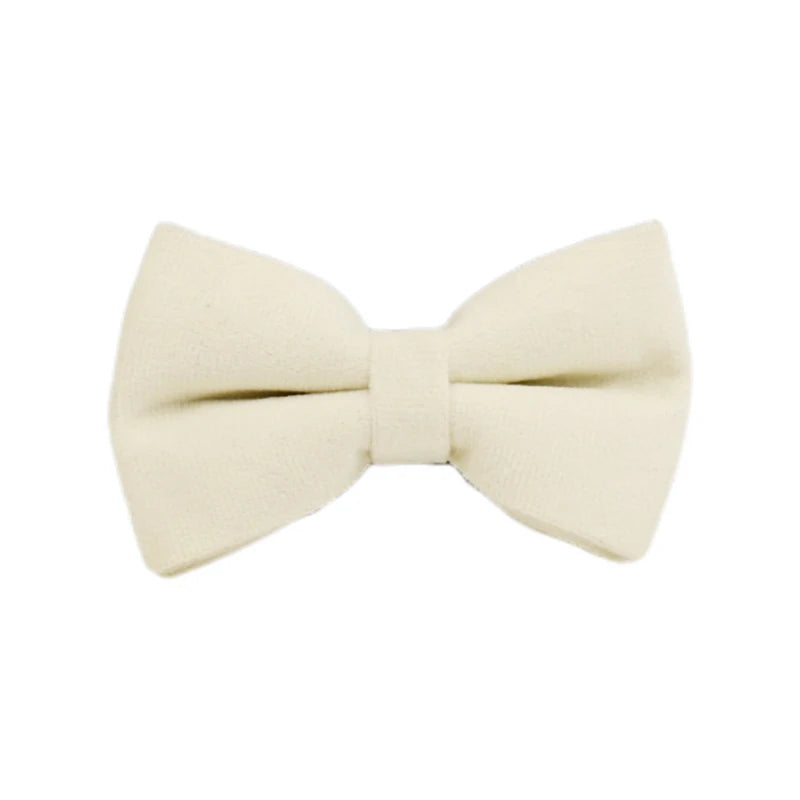 Milky White Velvet Collar & Leash