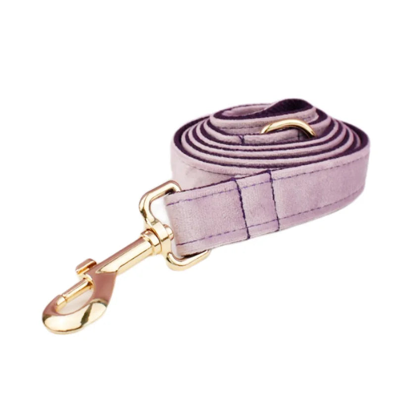 Deep Purple Velvet Collar & Leash