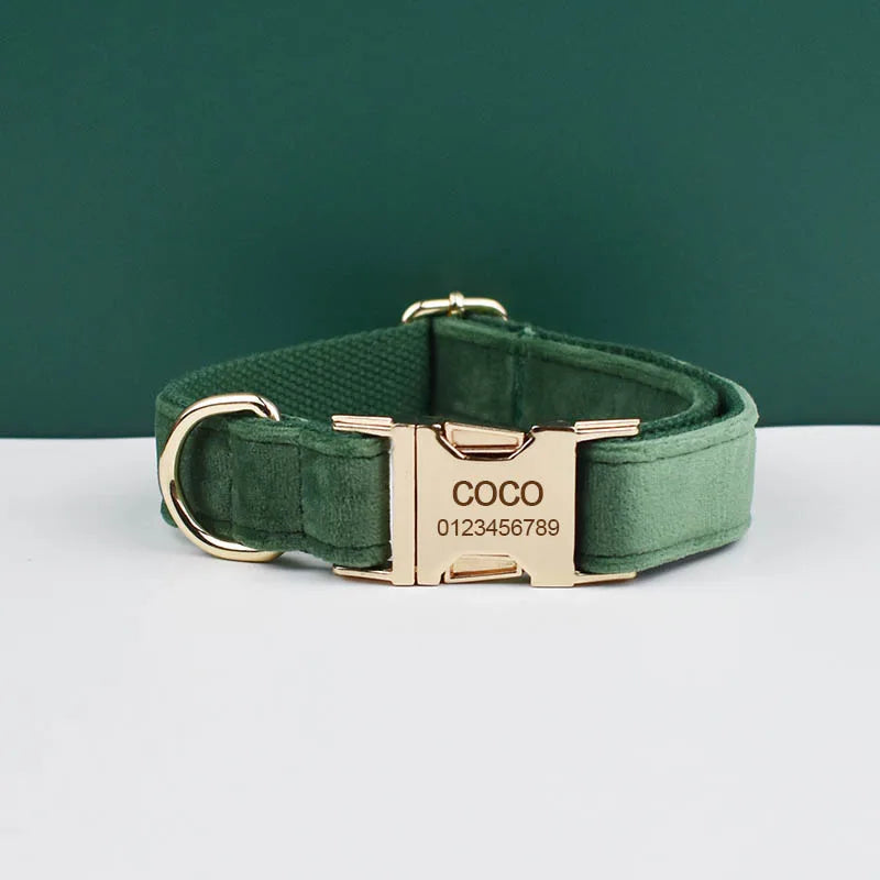 *Forest Green Velvet Collar & Leash