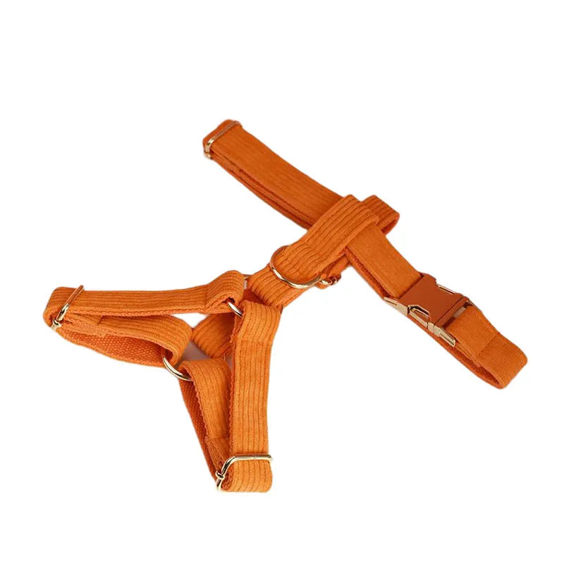 Orange Corduroy Harness