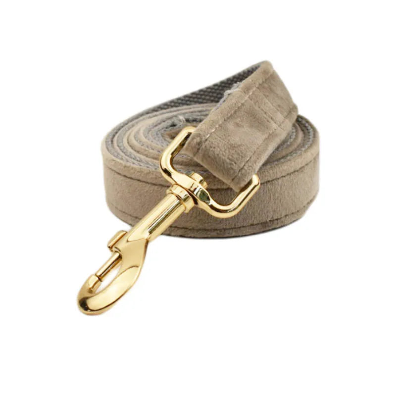 Grey Velvet Collar & Leash