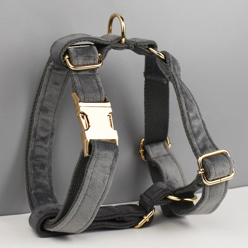 Dark Grey Velvet Harness