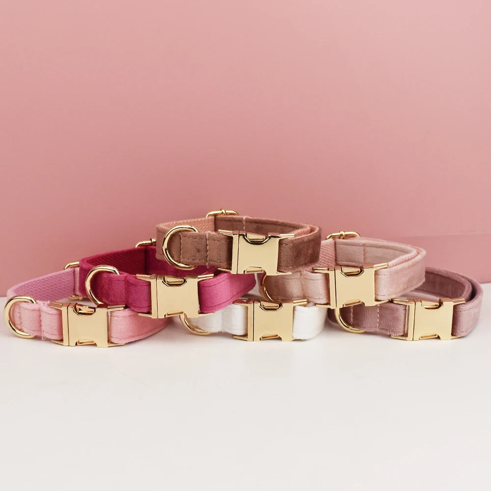 Blush Velvet Collar