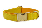 Mustard Velvet Collar & Leash