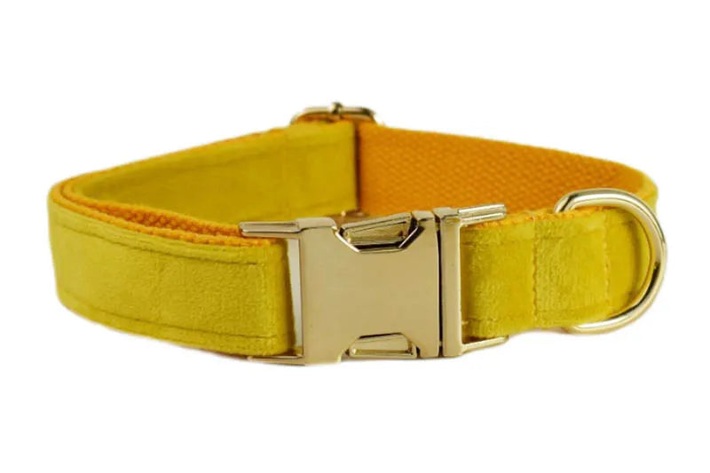 Mustard Velvet Collar & Leash