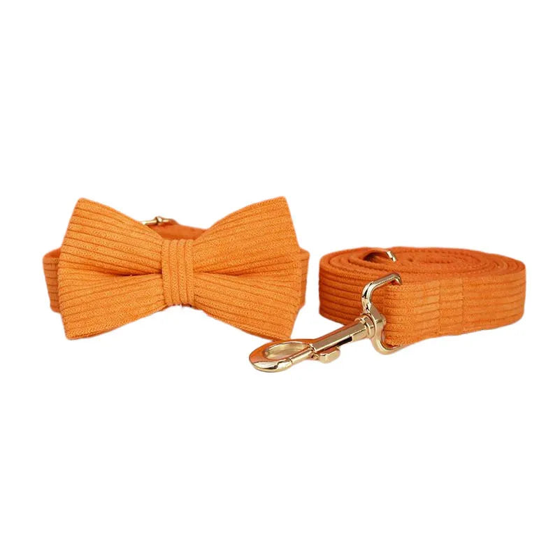 Orange Corduroy Collar & Leash
