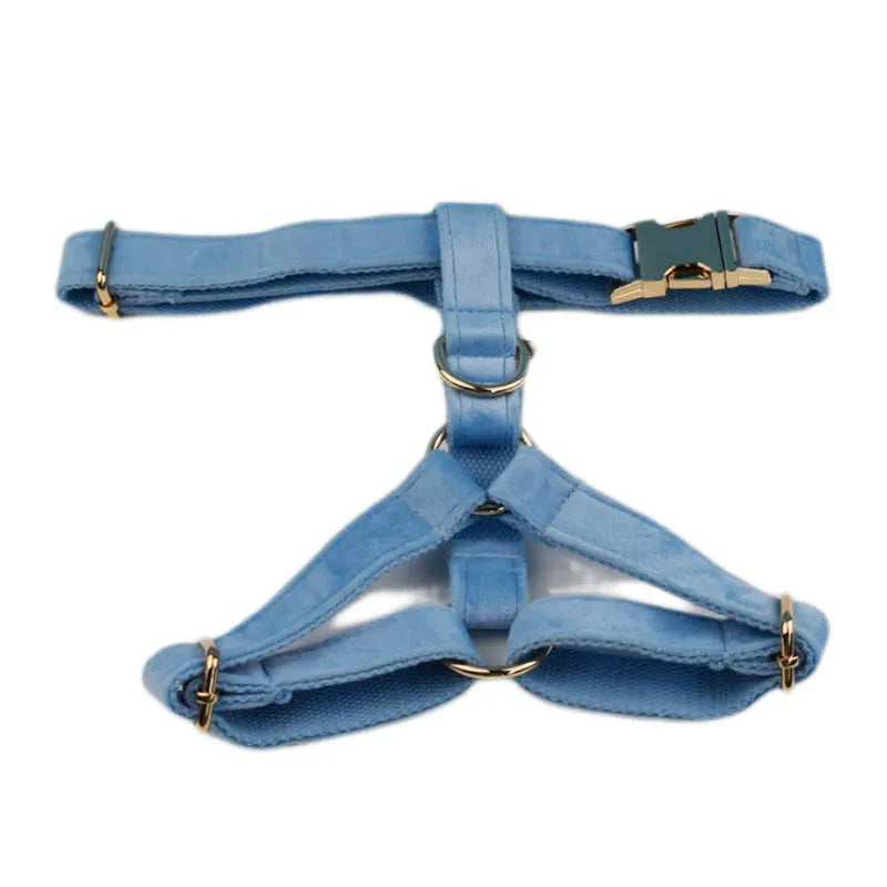 Teal Velvet Harness