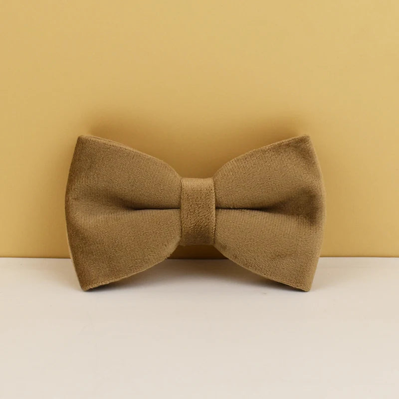 Shallow Khaki Velvet Collar & Leash