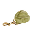 Fruit Green Corduroy Collar & Leash