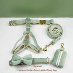 Mint Green Velvet Walk Set
