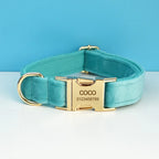 Turquoise Stone Velvet Collar & Leash