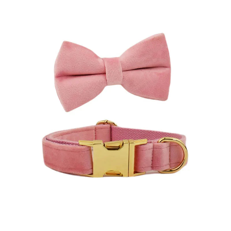 Blush Velvet Collar & Leash