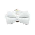Snow White Velvet Collar & Leash