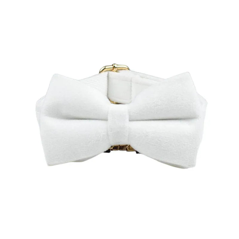 Snow White Velvet Collar & Leash