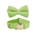Apple Fruit Green Corduroy Collar & Leash