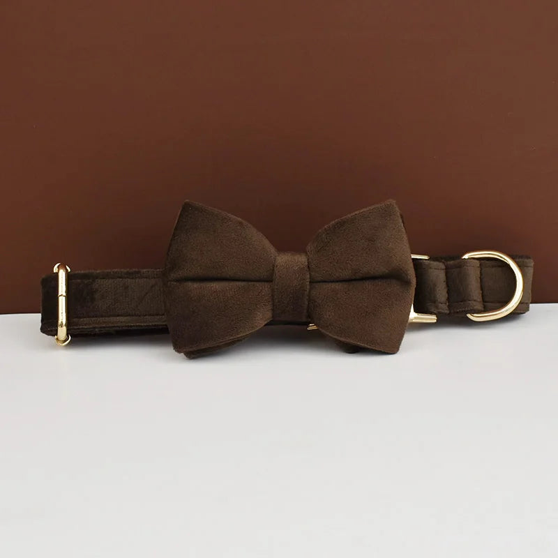 Chocolate Velvet Collar & Leash