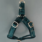 Emerald Gold Bow + Harness & Leash Set