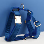 Azure Velvet Harness