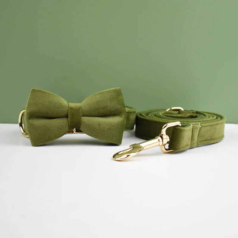 Army Green Velvet Collar & Leash