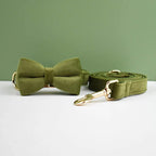 Army Green Velvet Collar & Leash