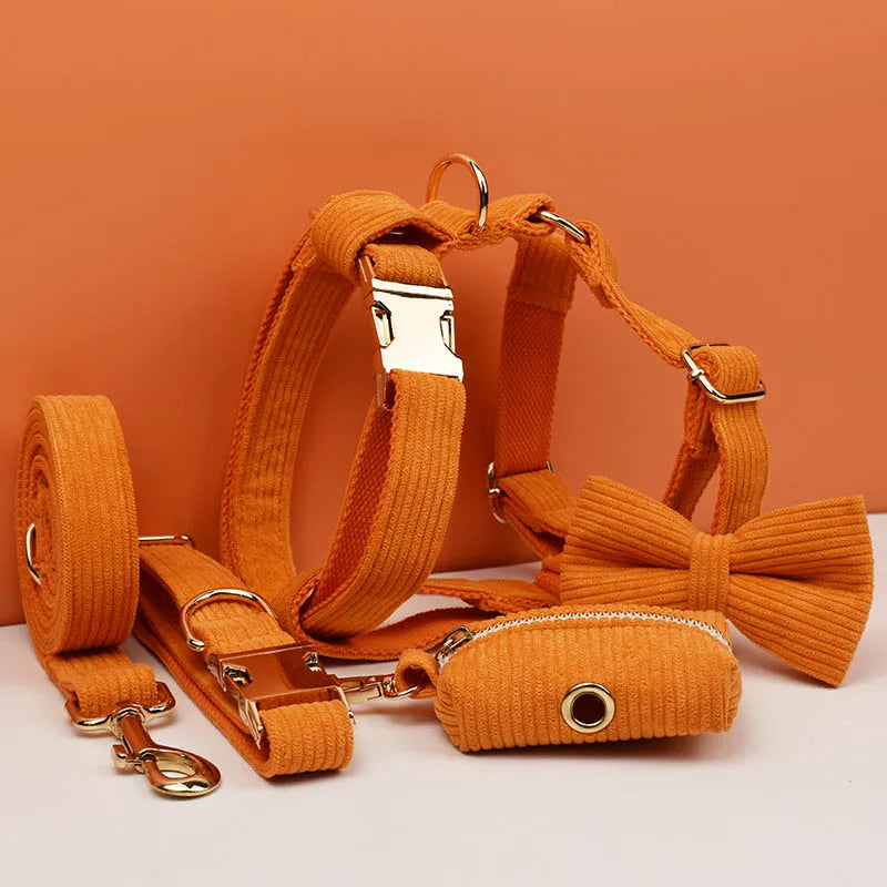 Orange Corduroy Walk Set
