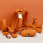 Orange Corduroy Walk Set