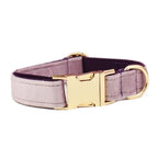 Deep Purple Velvet Collar & Leash