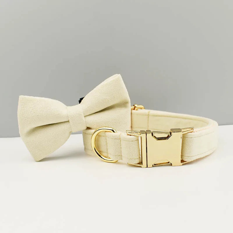 Milky White Velvet Collar & Leash