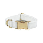Snow White Velvet Collar & Leash