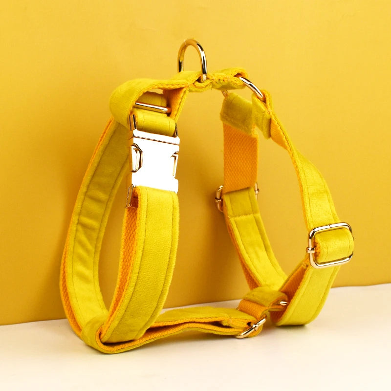 Mustard Velvet Harness