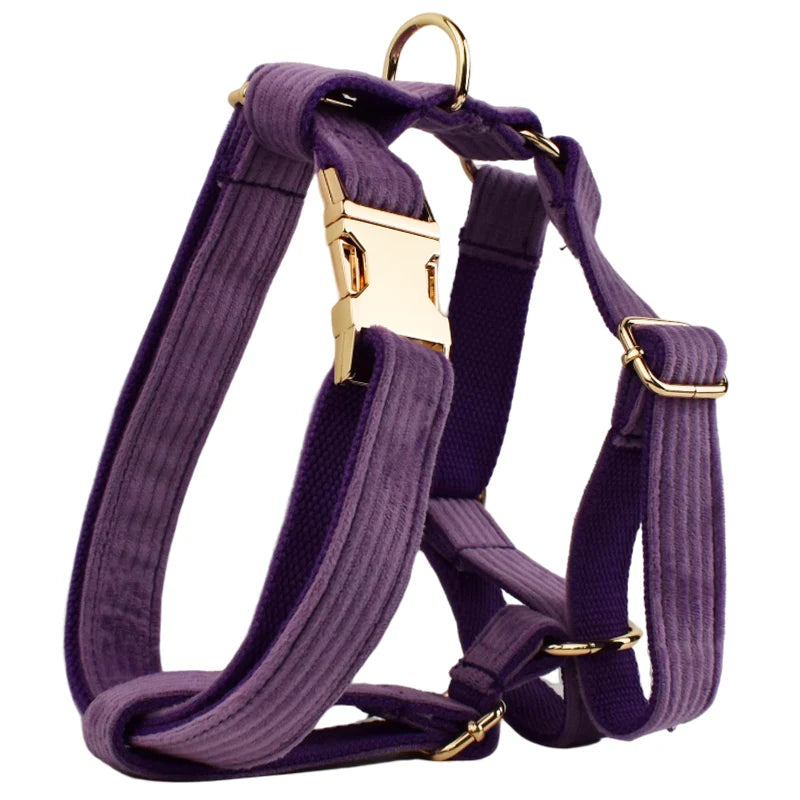 Epic Purple Corduroy Harness
