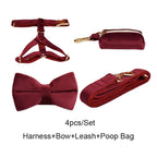 Red Wine Velvet Walk Set