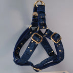 Midnight Blue Bow + Harness & Leash Set