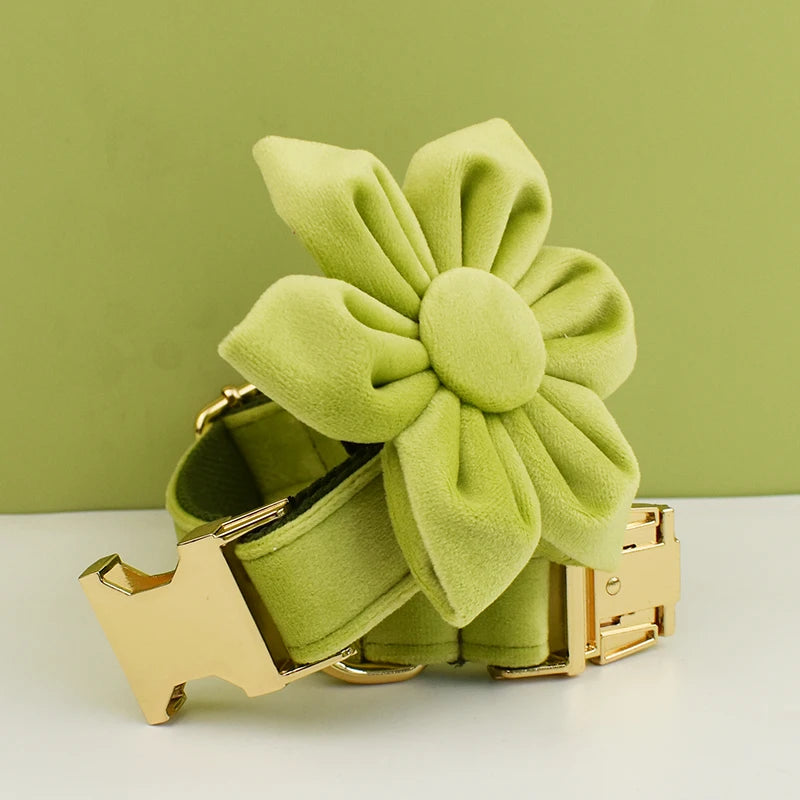 Avocado Velvet Collar & Leash