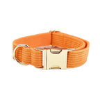 Orange Corduroy Collar & Leash